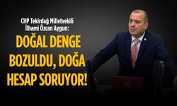CHP'li Aygun: Doğal denge bozuldu, doğa hesap soruyor!