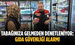 Tabağınıza gelmeden denetleniyor: Gıda güvenliği alarmı