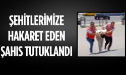 Şehitlerimize hakaret eden şahıs tutuklandı