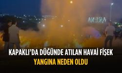 Kapaklı'da düğünde atılan havai fişek yangına neden oldu
