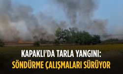 Kapaklı'da tarla yangını: Söndürme çalışmaları sürüyor