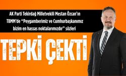 Mestan Özcan'ın Meclis'te kullandığı ifadeler tepki çekti
