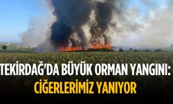 Tekirdağ'da büyük orman yangını: Ciğerlerimiz yanıyor