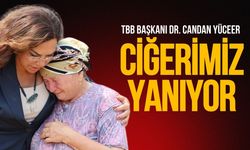 Dr. Candan Yüceer: Ciğerimiz yanıyor!