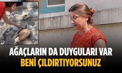 “Ağaçların da duyguları var, beni çıldırtıyorsunuz”