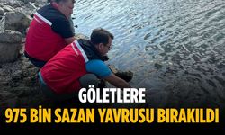 Göletlere 975 bin sazan yavrusu bırakıldı