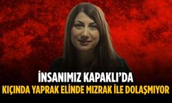 “İnsanımız Kapaklı’da kıçında yaprak elinde mızrak ile dolaşmıyor”