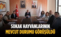 Sokak hayvanlarının mevcut durumu görüşüldü