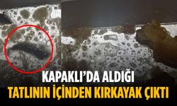 Kapaklı’da aldığı tatlının içinden kırkayak çıktı