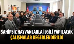 Sahipsiz hayvanlarla ilgili yapılacak çalışmalar değerlendirildi