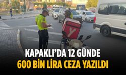 Kapaklı’da 12 günde 600 bin lira ceza yazıldı
