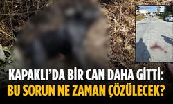 Kapaklı’da bir can daha gitti: Bu sorun ne zaman çözülecek?