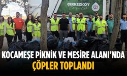 Kocameşe Piknik ve Mesire Alanı’nda çöpler toplandı