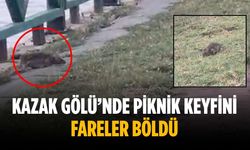 Kazak Gölü’nde piknik keyfini fareler böldü