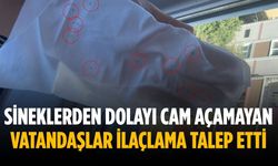 Sineklerden dolayı cam açamayan vatandaşlar ilaçlama talep etti