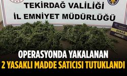 Operasyonda yakalanan 2 yasaklı madde satıcısı tutuklandı