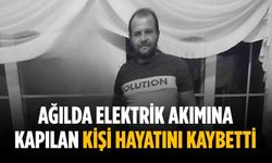 Ağılda elektrik akımına kapılan kişi hayatını kaybetti