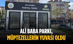 Ali Baba Parkı, müptezellerin yuvası oldu
