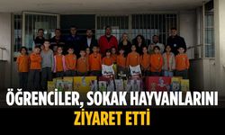Öğrenciler, sokak hayvanlarını ziyaret etti