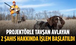 Projektörle tavşan avlayan 2 şahıs hakkında işlem başlatıldı