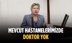 “Mevcut hastanelerimizde doktor yok”