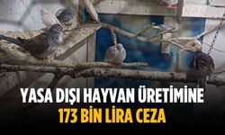 Yasa dışı hayvan üretimine 173 bin lira ceza