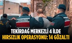 Tekirdağ merkezli 4 ilde hırsızlık operasyonu: 14 gözaltı
