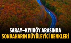 Saray–Kıyıköy arasında sonbaharın büyüleyici renkleri