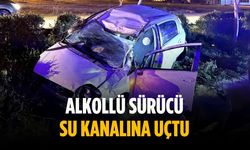 Alkollü sürücü su kanalına uçtu