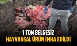1 ton belgesiz hayvansal ürün imha edildi