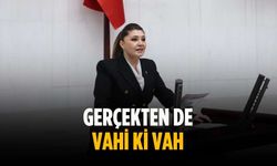 “Gerçekten de vahi ki vah”