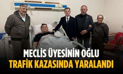 Meclis üyesinin oğlu trafik kazasında yaralandı