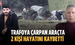 Trafoya çarpan araçta 2 kişi hayatını kaybetti