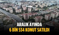 Aralık ayında 6 bin 534 konut satıldı