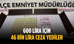 600 lira için 46 bin lira ceza yediler