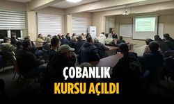 Çobanlık kursu açıldı