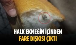 Halk ekmeğin içinden fare dışkısı çıktı