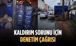 Kaldırım sorunu için denetim çağrısı