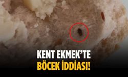 Kent Ekmek’te böcek iddiası!