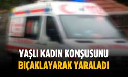 Yaşlı kadın komşusunu bıçaklayarak yaraladı