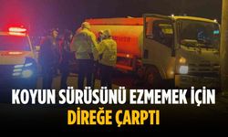 Koyun sürüsünü ezmemek için direğe çarptı