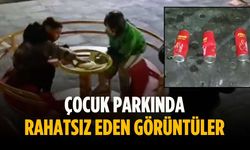 Çocuk parkında rahatsız eden görüntüler