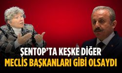 “Şentop’ta keşke diğer meclis başkanları gibi olsaydı”