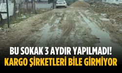 Bu sokak 3 aydır yapılmadı! Kargo şirketleri bile girmiyor
