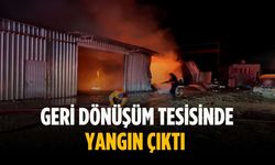 Geri dönüşüm tesisinde yangın çıktı