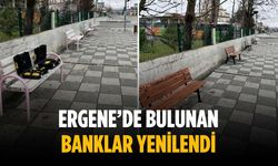 Ergene’de bulunan banklar yenilendi