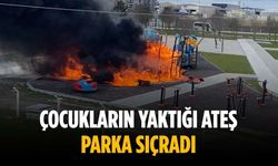 Çocukların yaktığı ateş parka sıçradı