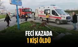 Feci kazada 1 kişi öldü