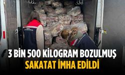 3 bin 500 kilogram bozulmuş sakatat imha edildi