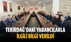 Tekirdağ’daki yabancılarla ilgili bilgi verildi